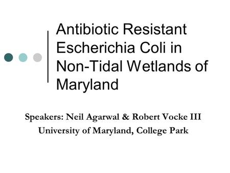 Antibiotic Resistant Escherichia Coli in Non-Tidal Wetlands of Maryland Speakers: Neil Agarwal & Robert Vocke III University of Maryland, College Park.