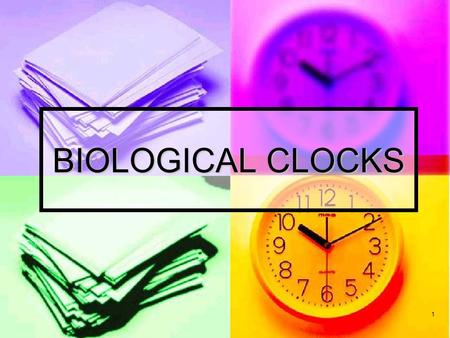 1 BIOLOGICAL CLOCKS. 2 All organisms respond to different cycles. They respond to: All organisms respond to different cycles. They respond to: 1) annual.