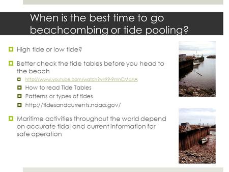 When is the best time to go beachcombing or tide pooling?  High tide or low tide?  Better check the tide tables before you head to the beach 
