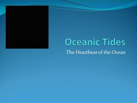 The Heartbeat of the Ocean. Introduction Tides are one of the most obvious features of the oceans. Natural rhythms can easily be observed. Long term records.