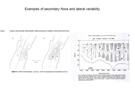 Examples of secondary flows and lateral variability.