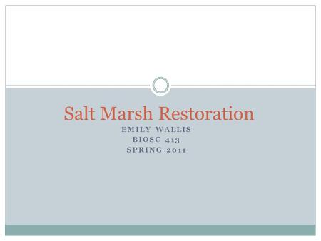 EMILY WALLIS BIOSC 413 SPRING 2011 Salt Marsh Restoration.