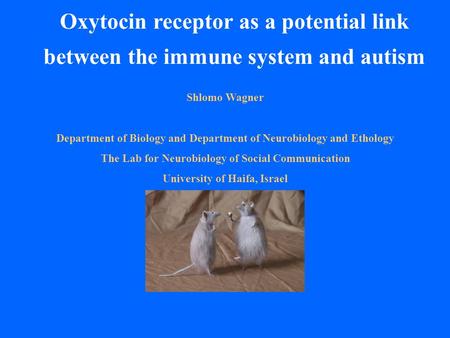 Oxytocin receptor as a potential link between the immune system and autism Shlomo Wagner Department of Biology and Department of Neurobiology and Ethology.