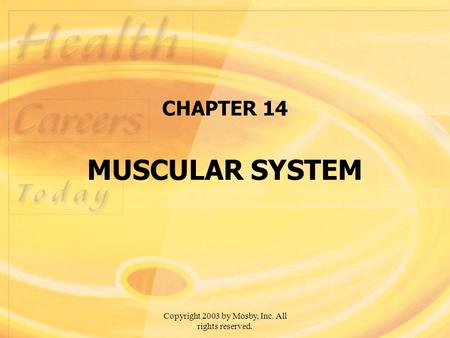 CHAPTER 14 MUSCULAR SYSTEM