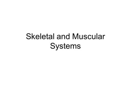 Skeletal and Muscular Systems. Skeletal System The framework for your body 206 bones “Os-” bone; “Osteo-” bone.