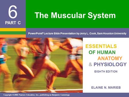 ELAINE N. MARIEB EIGHTH EDITION 6 Copyright © 2006 Pearson Education, Inc., publishing as Benjamin Cummings PowerPoint ® Lecture Slide Presentation by.
