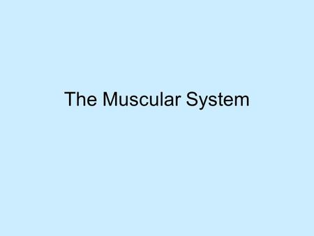 The Muscular System. Functions Produces movement by contracting Posture (result of muscles contracting) Joint stability Generates heat (85% of the heat.