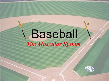 1 Baseball The Muscular System 2 What role does ATP play in muscle contraction? –Answer: it is the source of energy for the sliding filaments Which muscle.