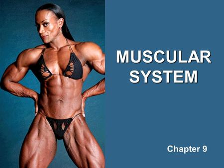 MUSCULAR SYSTEM Chapter 9.