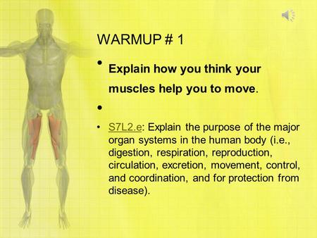 WARMUP # 1 Explain how you think your muscles help you to move. S7L2.e: Explain the purpose of the major organ systems in the human body (i.e., digestion,