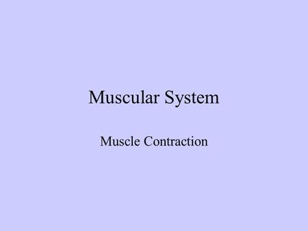 Muscular System Muscle Contraction.
