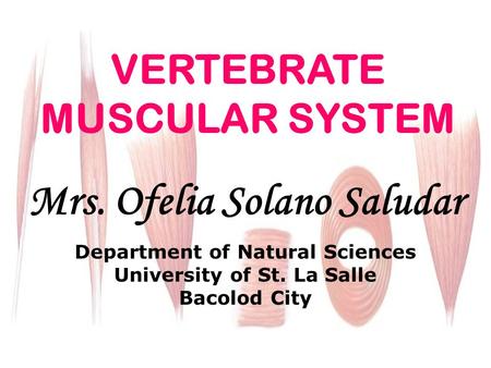 VERTEBRATE MUSCULAR SYSTEM Mrs. Ofelia Solano Saludar Department of Natural Sciences University of St. La Salle Bacolod City.