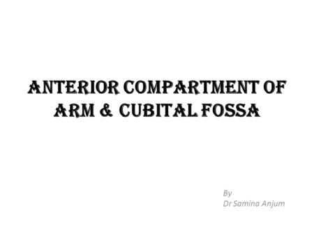 ANTERIOR COMPARTMENT OF ARM & CUBITAL FOSSA
