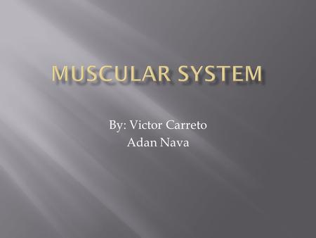 By: Victor Carreto Adan Nava.  Heart: To propel blood into circulation.  Visceral: Form muscle layers in walls.  Skeleton: Produce movement.  Tendons: