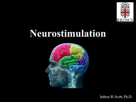 Neurostimulation Jeffrey R. Scott, Ph.D.. Brain Anatomy.