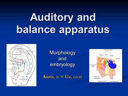 Auditory and balance apparatus
