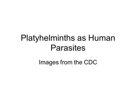 Platyhelminths as Human Parasites