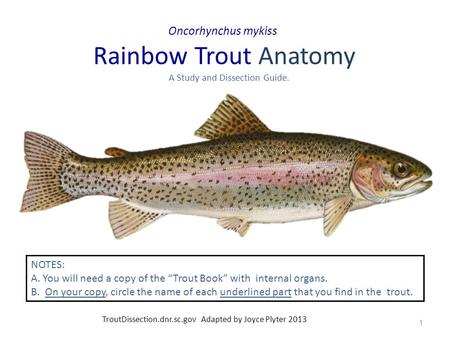 A. You will need a copy of the “Trout Book” with internal organs.