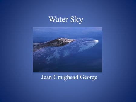 Water Sky Jean Craighead George. Chapter 1 “Lincoln” Lincoln’s hometown--