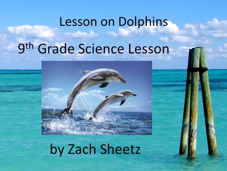 Lesson on Dolphins 9 th Grade Science Lesson by Zach Sheetz.