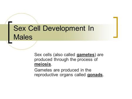 Sex Cell Development In Males Sex cells (also called gametes) are produced through the process of meiosis. Gametes are produced in the reproductive organs.
