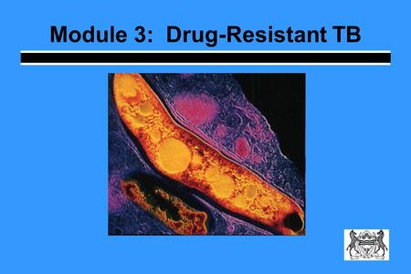 Module 3: Drug-Resistant TB. Learning Objectives Describe how drug resistance emerges Explain the difference between primary and secondary resistance.