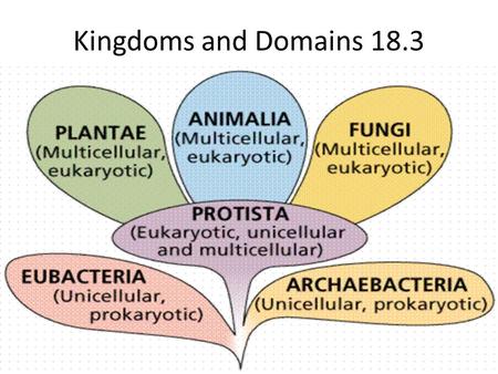 Kingdoms and Domains 18.3.