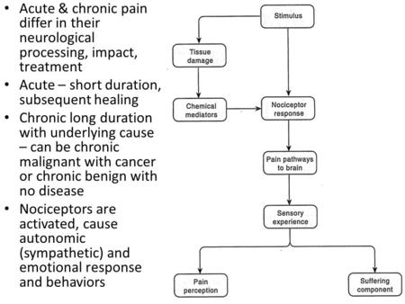Acute & chronic pain differ in their neurological processing, impact, treatment Acute – short duration, subsequent healing Chronic long duration with underlying.