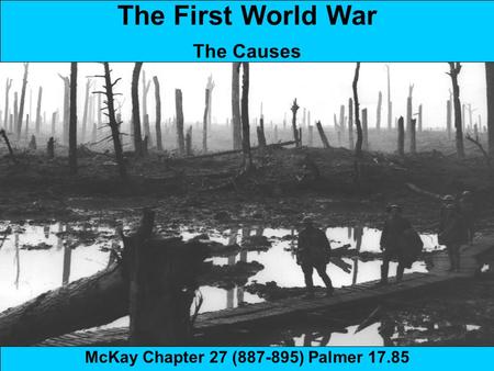 The First World War The Causes