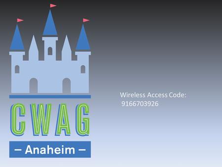 Wireless Access Code: 9166703926.
