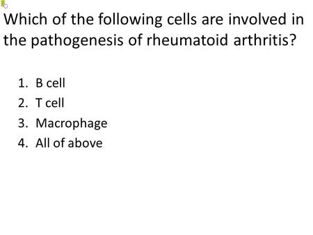 Which of the following cells are involved in the pathogenesis of rheumatoid arthritis? 1.B cell 2.T cell 3.Macrophage 4.All of above.