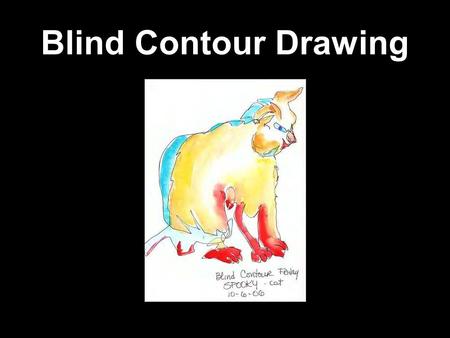 Blind Contour Drawing.