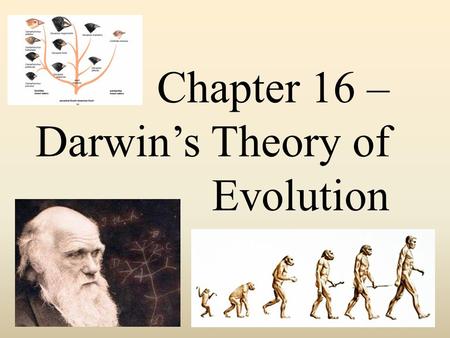 Chapter 16 – Darwin’s Theory of Evolution