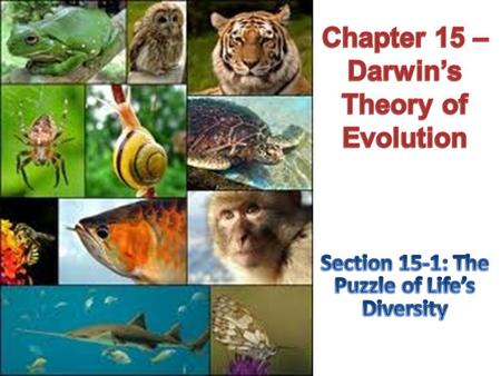 Chapter 15 – Darwin’s Theory of Evolution