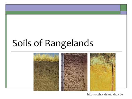 Soils of Rangelands