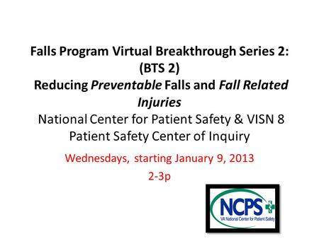 Falls Program Virtual Breakthrough Series 2: (BTS 2) Reducing Preventable Falls and Fall Related Injuries National Center for Patient Safety & VISN 8 Patient.