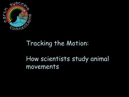Tracking the Motion: How scientists study animal movements.