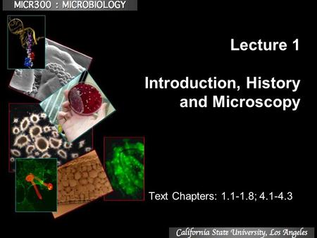 Lecture 1 Introduction, History and Microscopy Text Chapters: 1.1-1.8; 4.1-4.3.