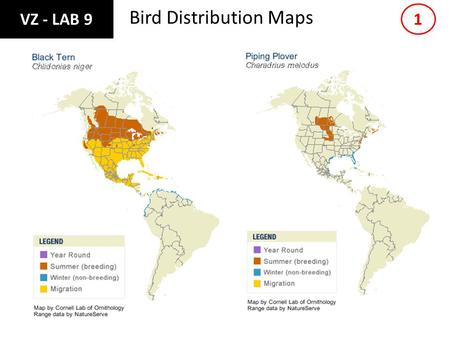 Bird Distribution Maps 1 VZ - LAB 9. Bird Distribution Maps 2.
