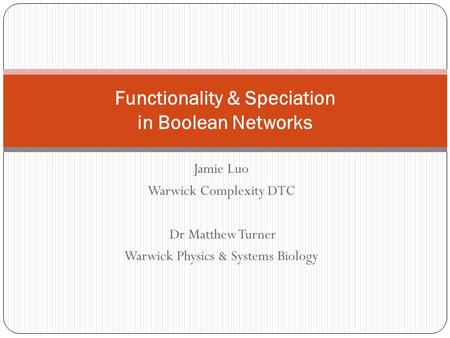 Functionality & Speciation in Boolean Networks