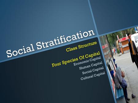 Social Stratification Class Structure Four Species Of Capital Economic Capital Human Capital Social Capital Cultural Capital.
