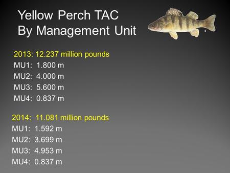 2014: 11.081 million pounds MU1: 1.592 m MU2: 3.699 m MU3: 4.953 m MU4: 0.837 m Yellow Perch TAC By Management Unit 2013: 12.237 million pounds MU1: 1.800.