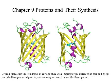Chapter 9 Proteins and Their Synthesis