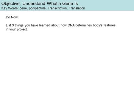 Objective: Understand What a Gene Is Key Words: gene, polypeptide, Transcription, Translation Do Now: List 3 things you have learned about how DNA determines.