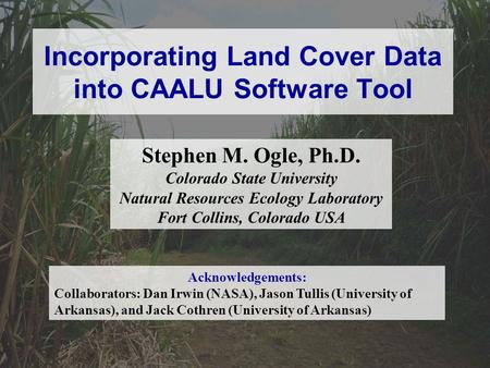 Incorporating Land Cover Data into CAALU Software Tool Stephen M. Ogle, Ph.D. Colorado State University Natural Resources Ecology Laboratory Fort Collins,