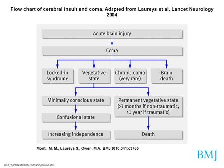 Copyright ©2010 BMJ Publishing Group Ltd. Monti, M. M., Laureys S., Owen, M.A. BMJ 2010;341:c3765 Flow chart of cerebral insult and coma. Adapted from.
