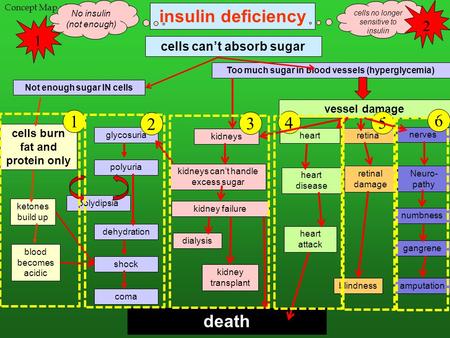 Insulin deficiency Too much sugar in blood vessels (hyperglycemia) vessel damage heart nerves retina blindness heart attack gangrene amputation kidneys.