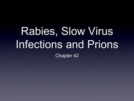 Rabies, Slow Virus Infections and Prions