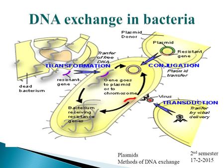 Plasmids Methods of DNA exchange 2 nd semester 17-2-2015.