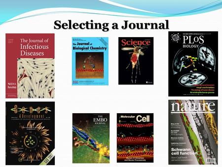 Selecting a Journal. Potential journals in Public Health American Journal of Epidemiology American Journal of Tropical Medicine and Hygiene Clinical Infectious.
